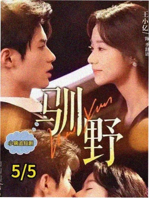 野猪影院剧集长夜将尽海报